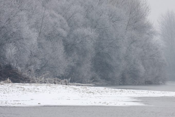 Winter scene, © by Goran Šafarek