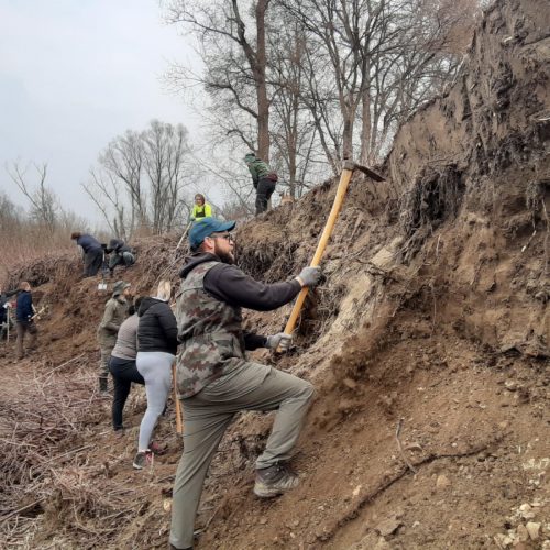 volunteering action: cleaning of a steep bank for sandmartins, © by IRSNC