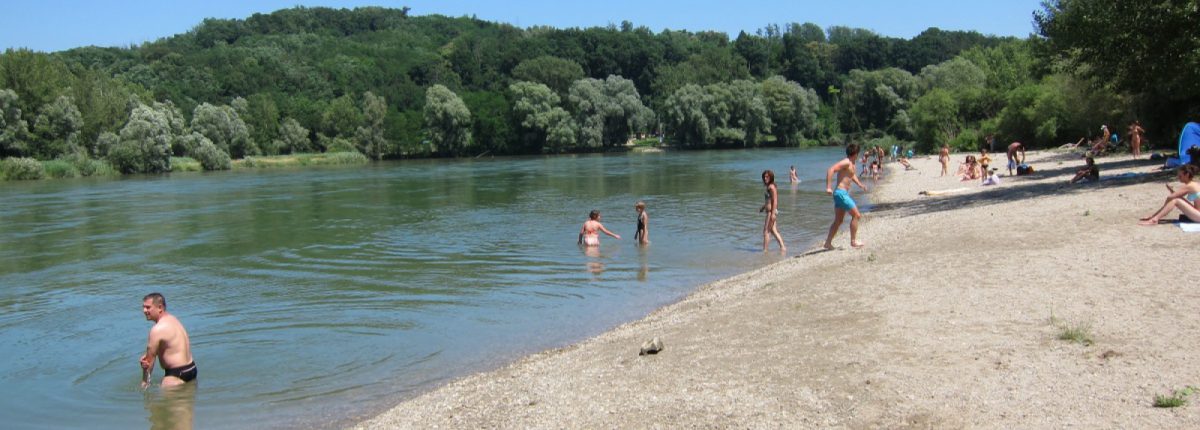 Refreshing bath at the confluence of the Rivers Drava and Mura , © by Arno Mohl/ WWF
