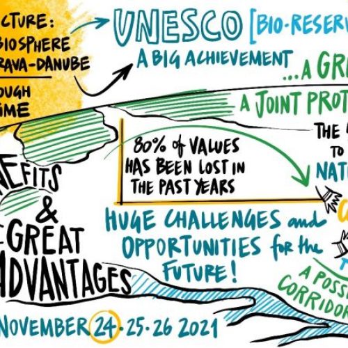 graphical recording of the lifeline MDD mid-term-conference, 24th-26th Nov. 2021, © by lifeline MDD