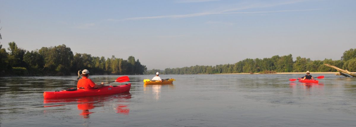 Canoe trip on Drava River , © by Arno Mohl/ WWF