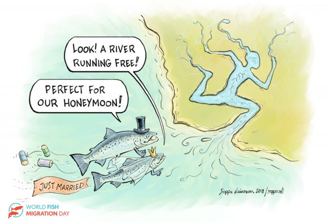 Free rivers, © by WWF