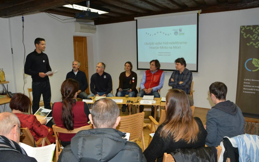 Expert studies confirm: Environmental impacts of Hrastje-Mota dam on the Mura River larger than claimed!