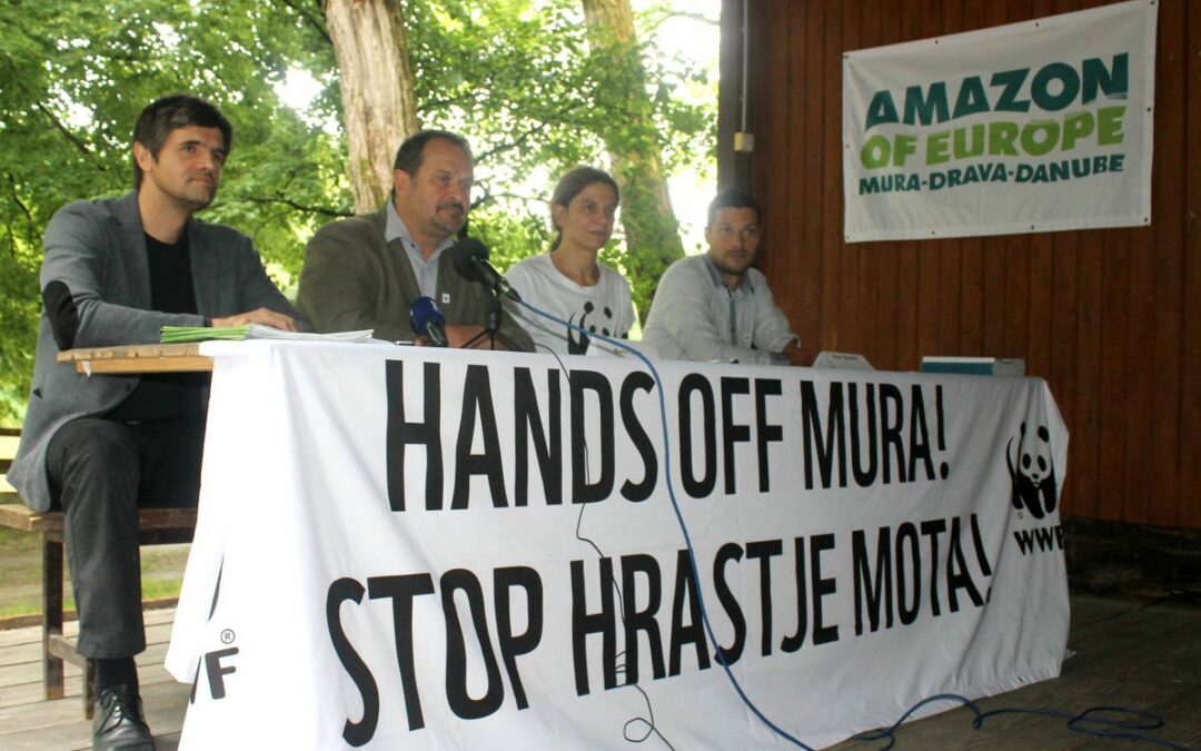 NGOs urge the Constitutional Court to revoke the regulation for the construction of hydropower plants on the Mura River