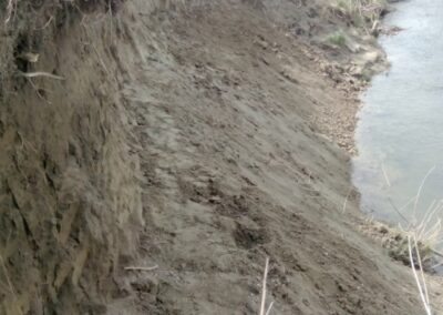 Cleared steep bank