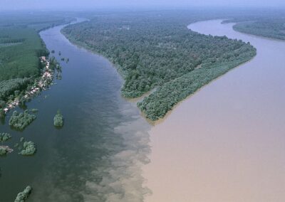 Confluence of the Danube and Drava Rivers