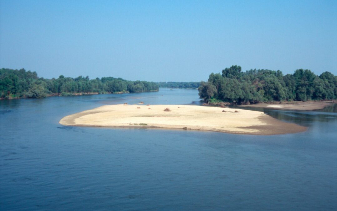 Danube Day 2015, 29 June: WWF calls for river restoration efforts in the “Amazon of Europe”