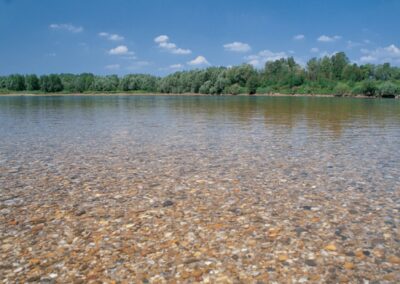 Drava River