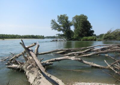 Drava