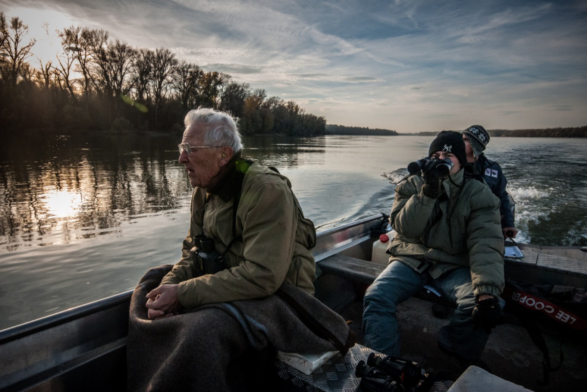 International Winter Census of water birds on Danube