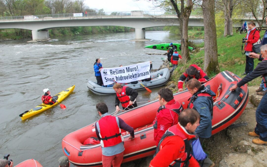 Mura Regatta: “Save the Mura – Stop dams”