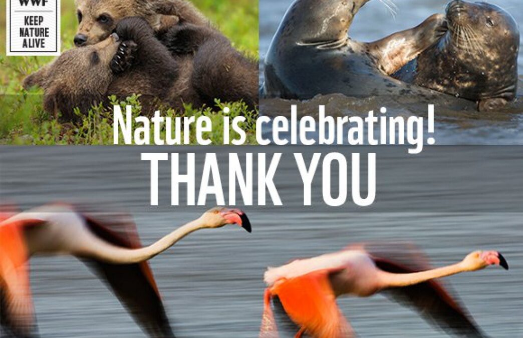 Record breaking number of EU citizens call to protect nature