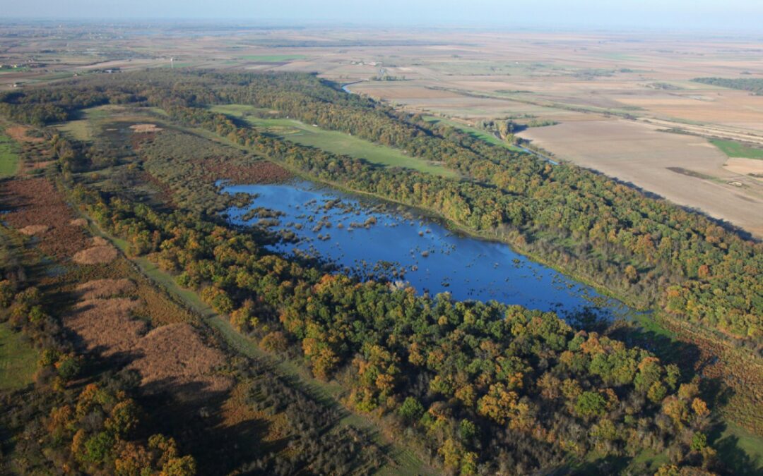 Wetland restoration in the Amazon of Europe