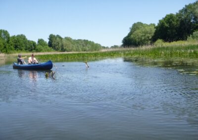 Old Drava