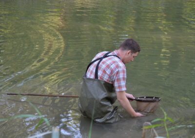 Old Drava survey