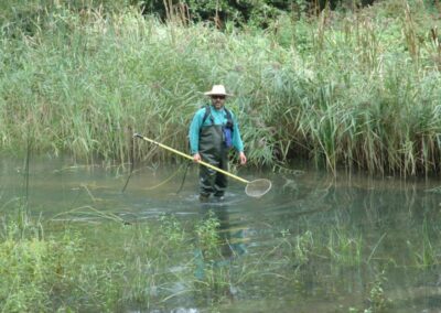 Old Drava survey