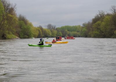 Regatta Mura