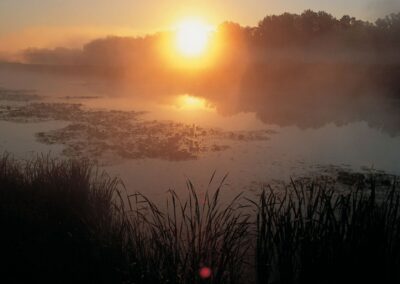 River scenery