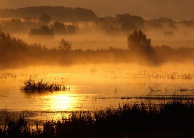 River scenery