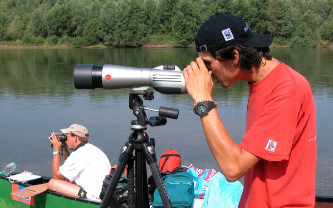 Riverwatcher – working in conserving the Drava for future generations