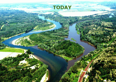 Simulation_Mura_Drava_confluence, Ornithological_Reserve_Veliki_Pazut