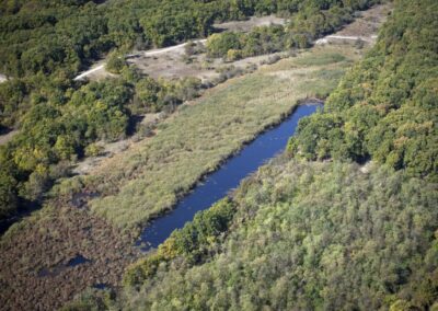Strbac wetland