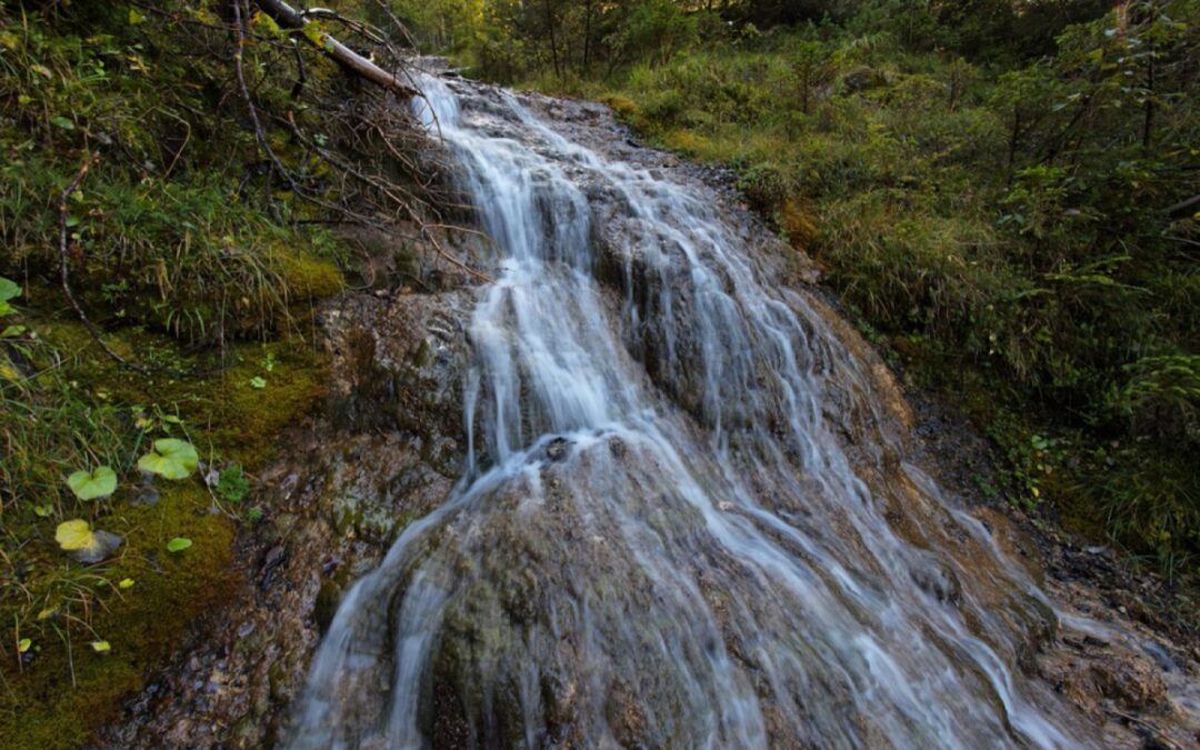 Keep Nature Alive