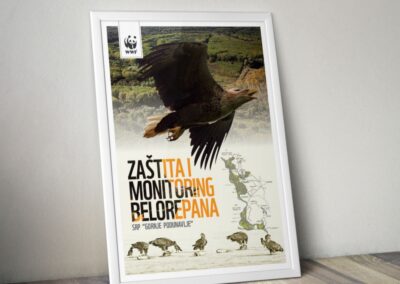 white-tailed eagle campaign