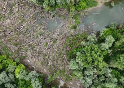 River Restoration Plans Field Trip