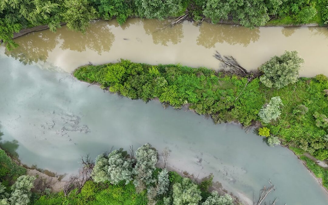New River Restoration Plans to Support the EU Nature Restoration Law