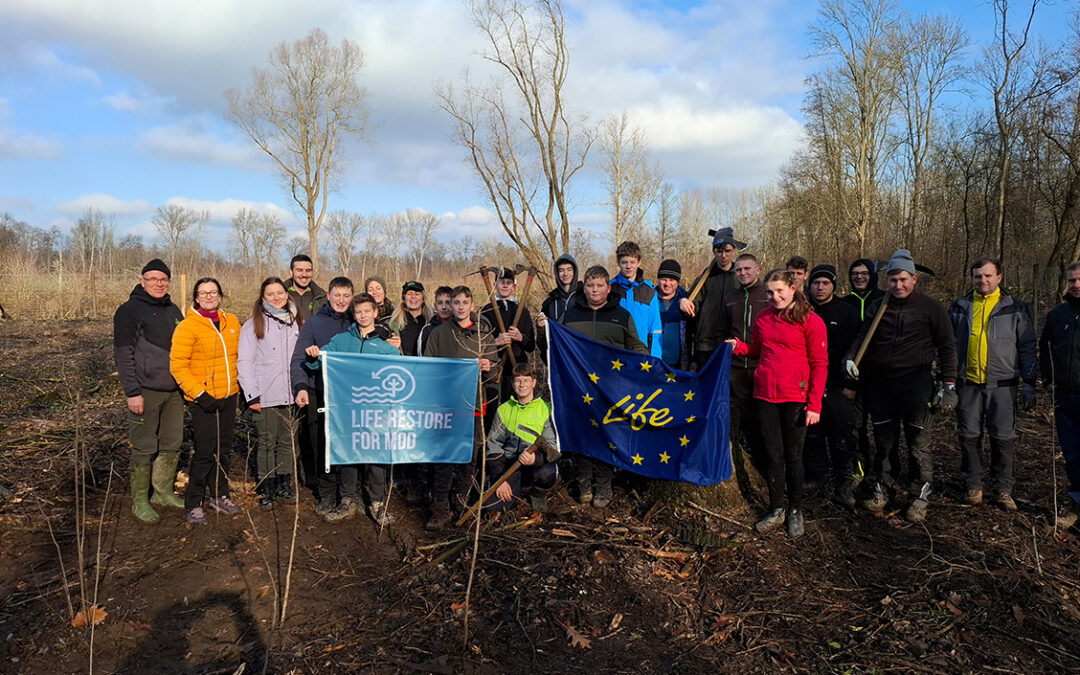 Volunteers Restore Floodplain Forests in Ižakovci