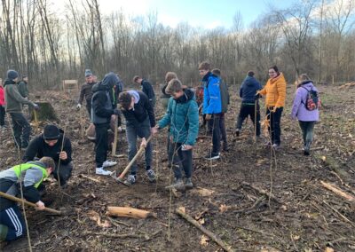 Volunteering Tree Planting Event in Slovenia