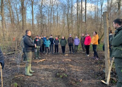 Volunteering Tree Planting Event in Slovenia