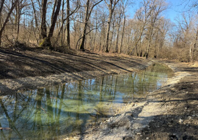 LIFE RESTORE for MDD Restoration of the Gradisce Oxbow