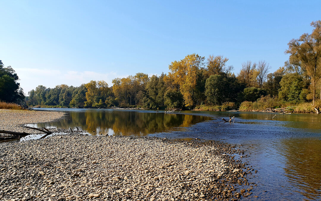 TBR MDD Day – Mura Biosphere Reserve Day