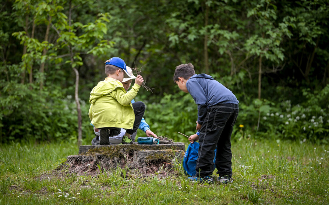 Rivers’cool Brings Floodplain Forests Closer to Children